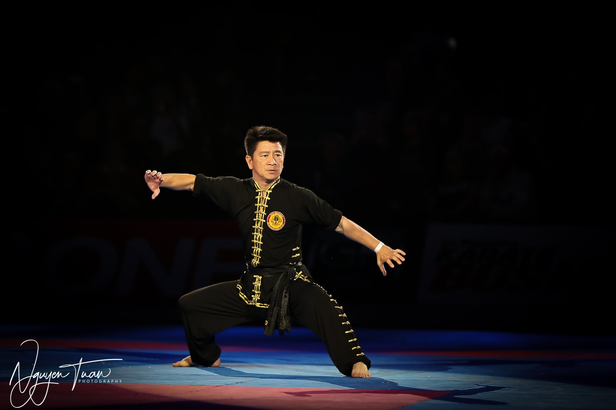 20190324 Festival des Arts Martiaux 4990